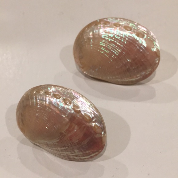 Vintage Mini Abalone Shell Earrings - Picture 6 of 6